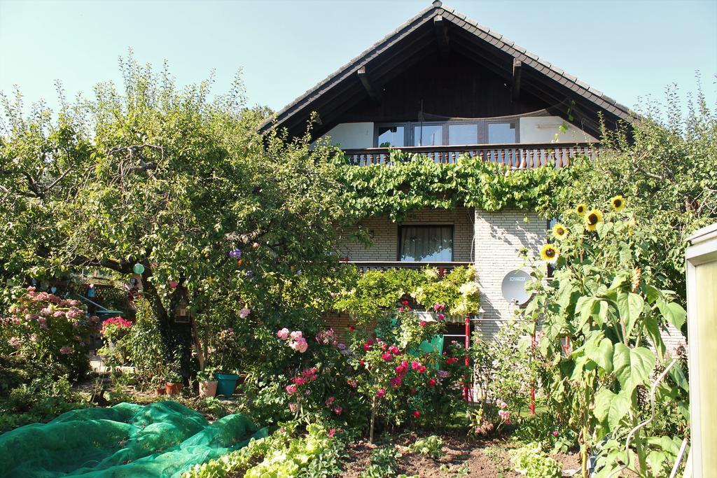 Ferienwohnung Sonnengruss Nettersheim Exterior foto
